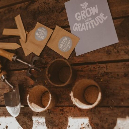 Grow with Gratitude Kit - Naturally Good Living