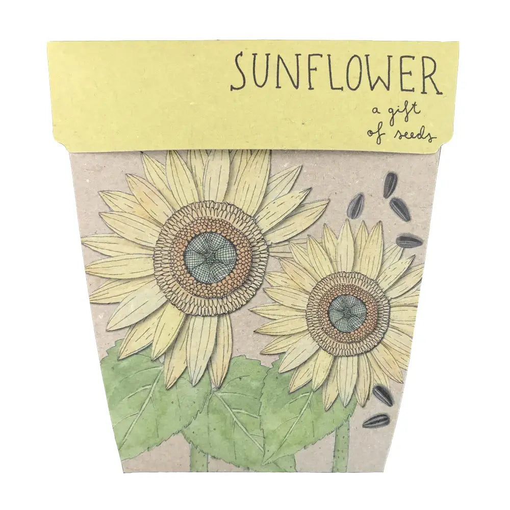 The gift of seeds- Sunflower