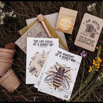 Bee the Change Growing Kit - Naturally Good Living