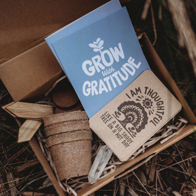 Grow with Gratitude Kit - Naturally Good Living