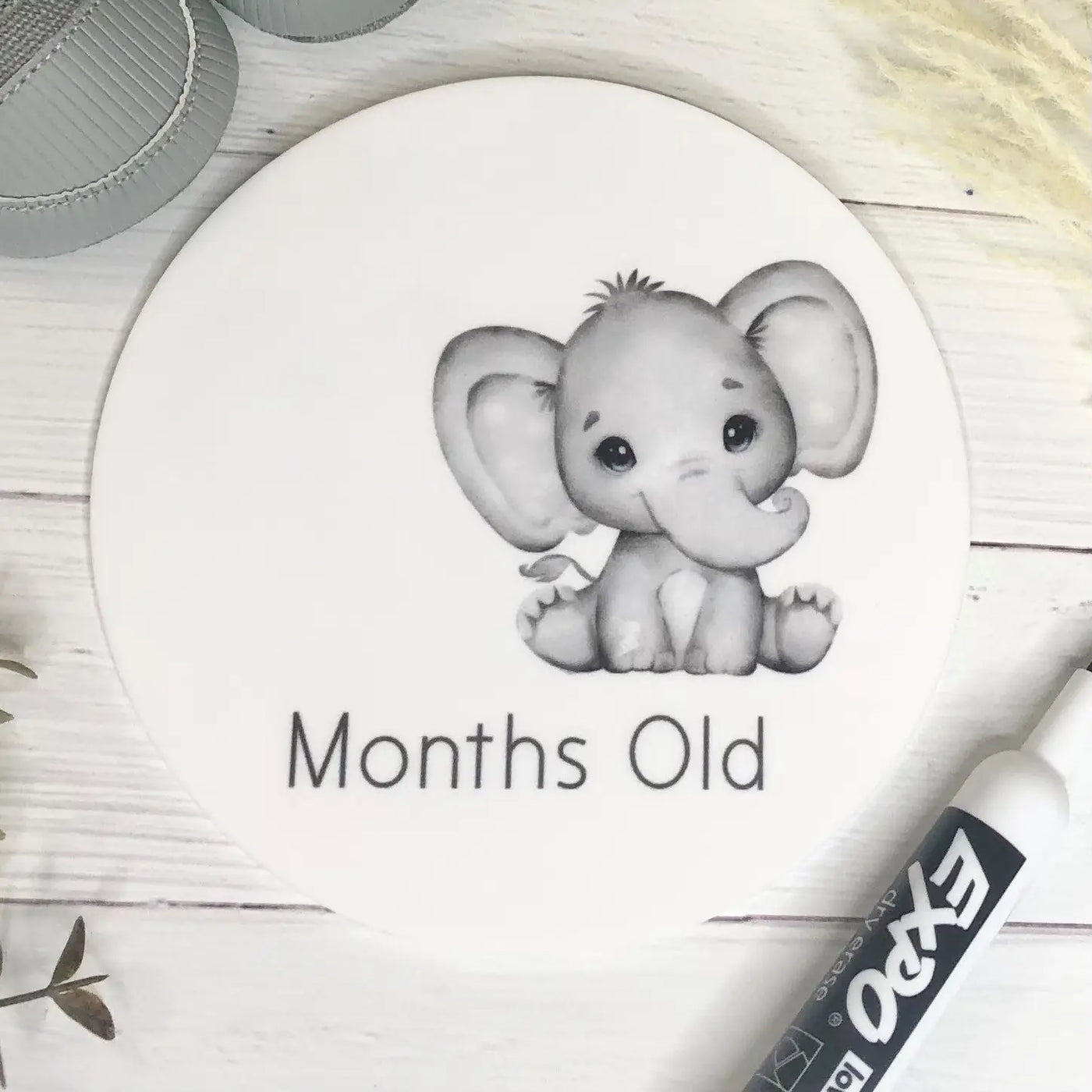 Reusable Weeks & Months Milestone Disc - Elephant theme